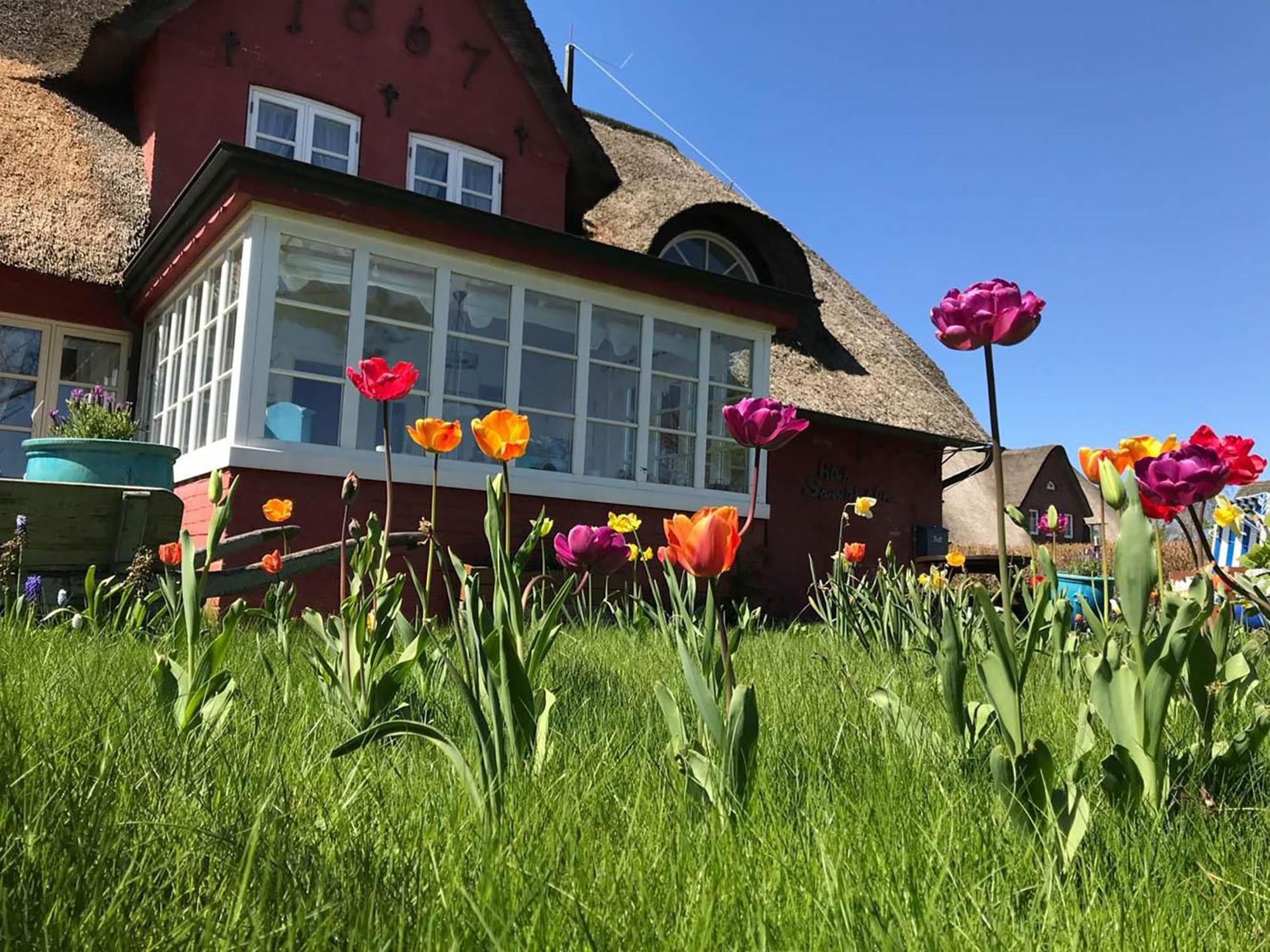 Hues Sanskiin Ferienwohnung *Aawerkant* Suddorf Luaran gambar